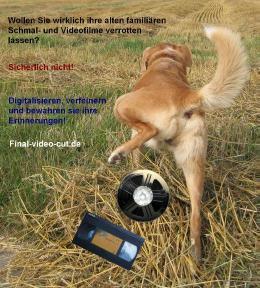 Lassen Sie ihre alten Video- und Schmalfilme nicht vergammeln !